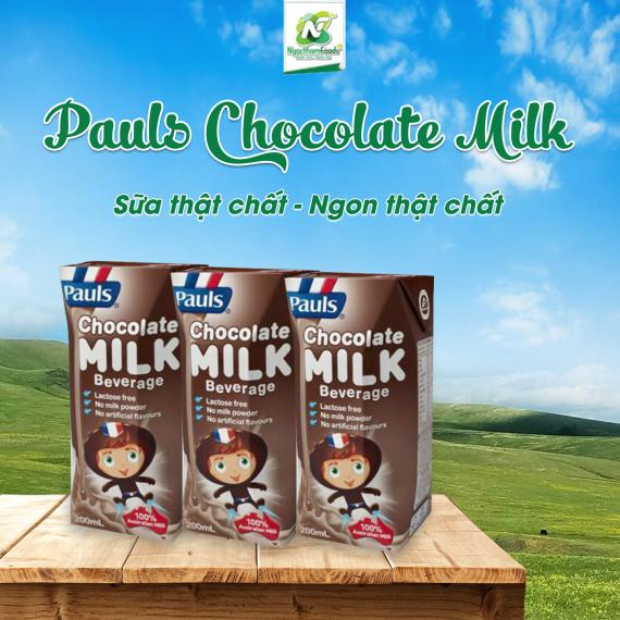 PAULS CHOCOLATE: DƯỠNG CHẤT DỒI DÀO - VỊ NGON KHÓ CƯỠNG