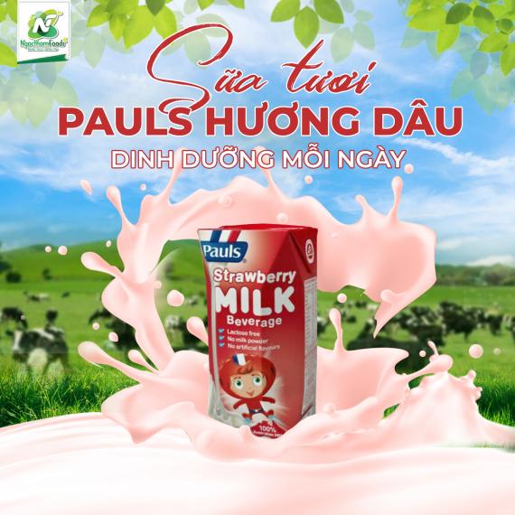 SỮA TƯƠI PAULS: HƯƠNG DÂU DỊU NGỌT - CHỌN LỌC TỪ NGUỒN SỮA CHẤT LƯỢNG