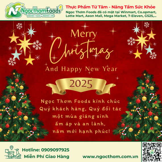 Merry Christmas And Happy New Year 2025