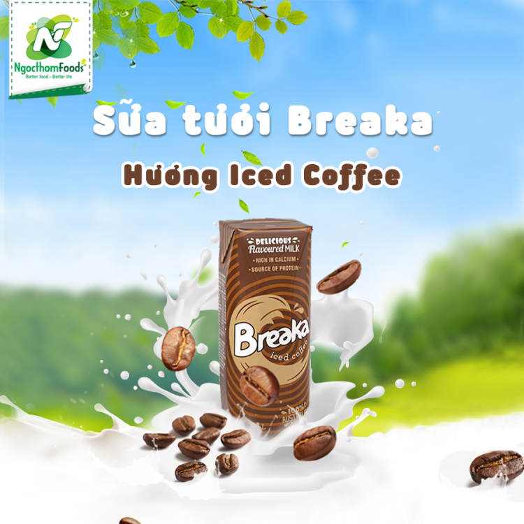 Breaka Iced Coffee 100% Australia Milk 250ml